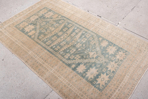 Antique Anatol Area Rug (3' x 5')
